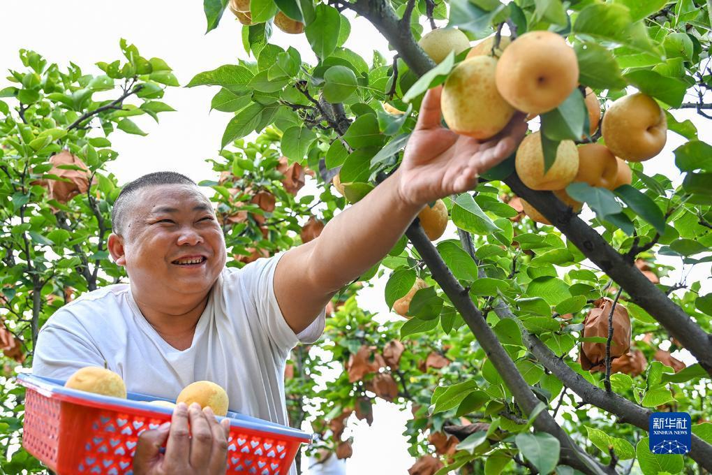 美国试玩平台